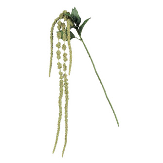 Amaranthus Green  - Artificial floral - hanging stem fillers